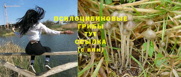 Альфа ПВП Верхний Тагил