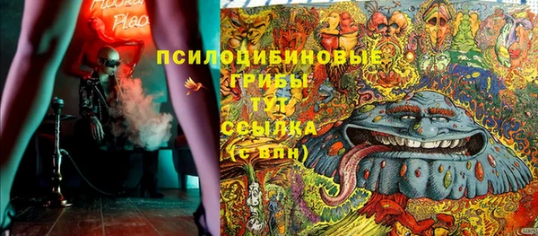 стаф Новодвинск