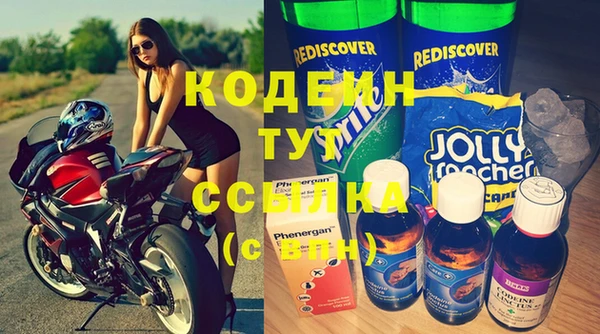 прущие грибы Новокубанск