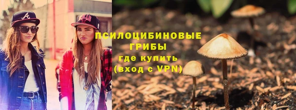ешки Верея
