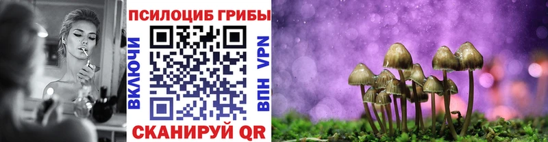 купить закладку  Новый Оскол  Галлюциногенные грибы Psilocybine cubensis 